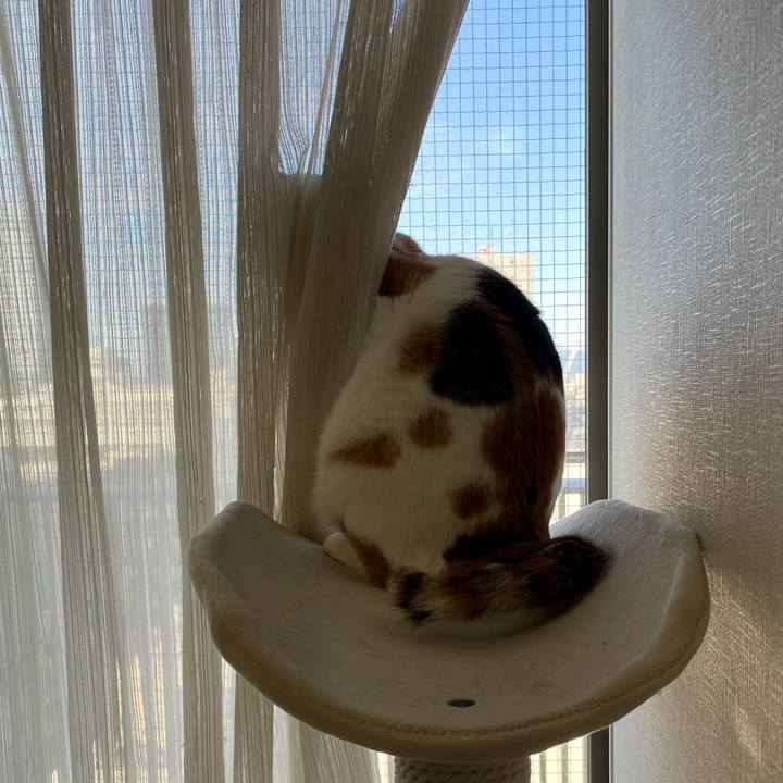 452e8da5 a603 4149 8c9e a86c22d3b256 1614138334424