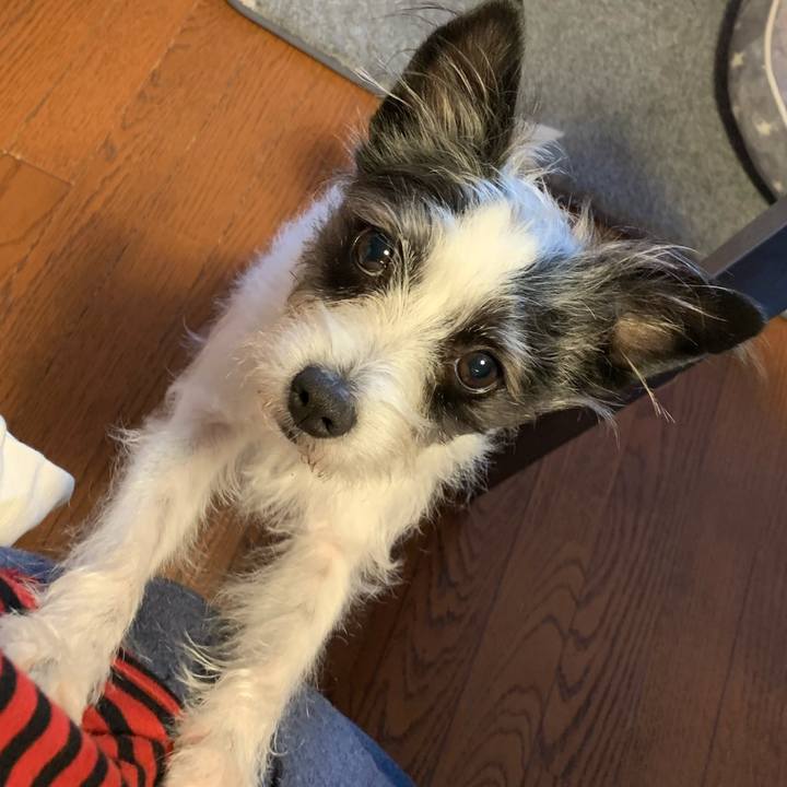 452ea154 5349 4997 a4e8 f2f4792b22a8 1585916438707