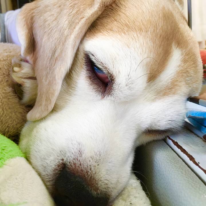 452ebeb9 289e 44bd a517 e50ba2d3b325 1573964050764