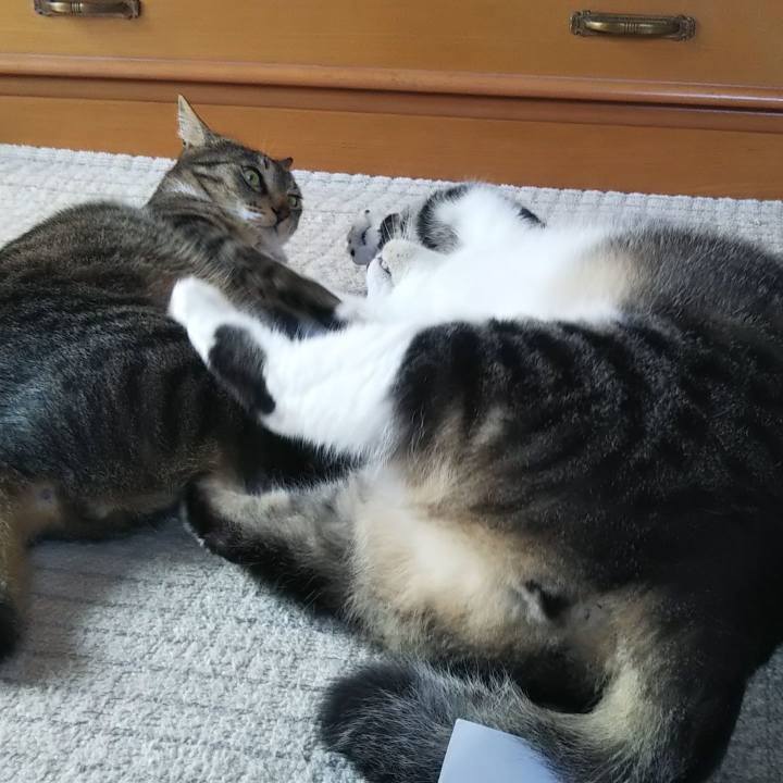 452ec7c7 7dc9 4bb7 b117 1c72fe48030c 1621740055602