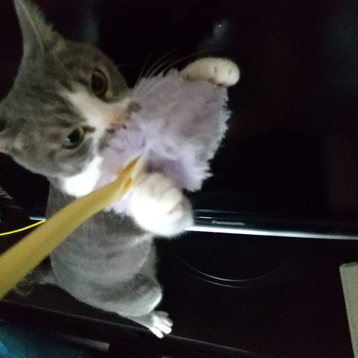 452ecef9 de96 4a3a 8b31 3c4a193d9a0b 1596761055594