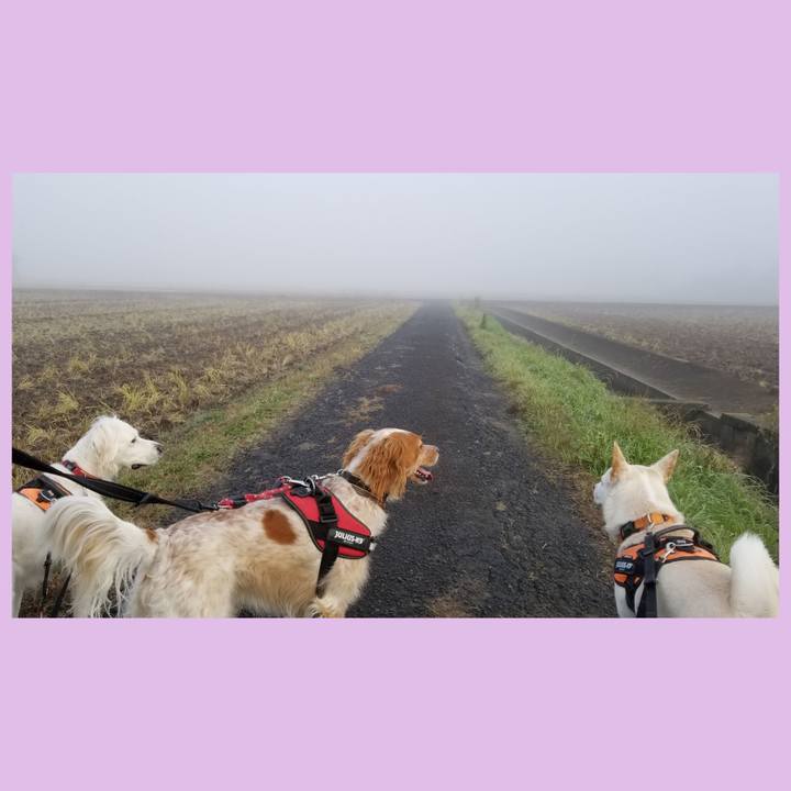 452edb19 f645 4576 93ad 5670504df329 1670377699229