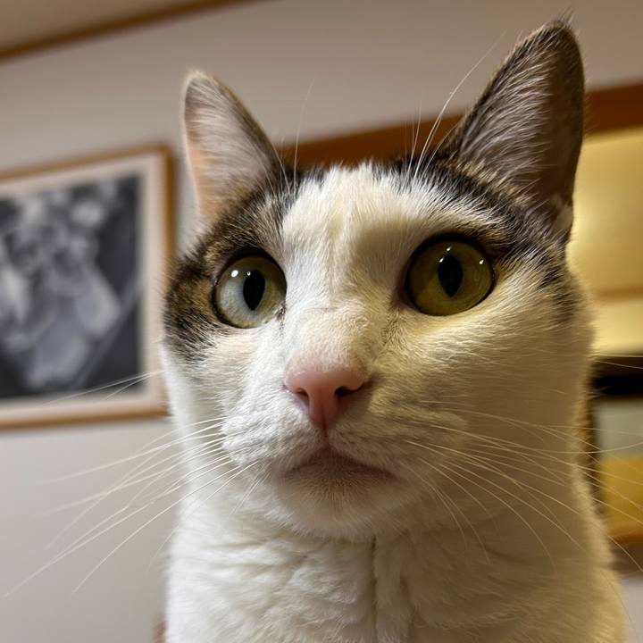 452f0c38 e24f 411b 890e 0eda48686593 1763207132485