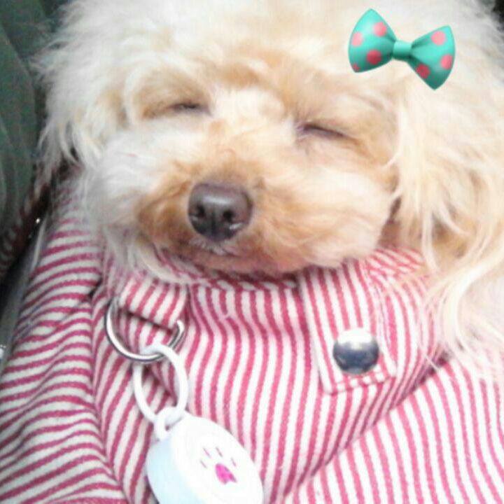 452f0e6e 6f61 4acb 98c1 485f64745d06 1544958609196