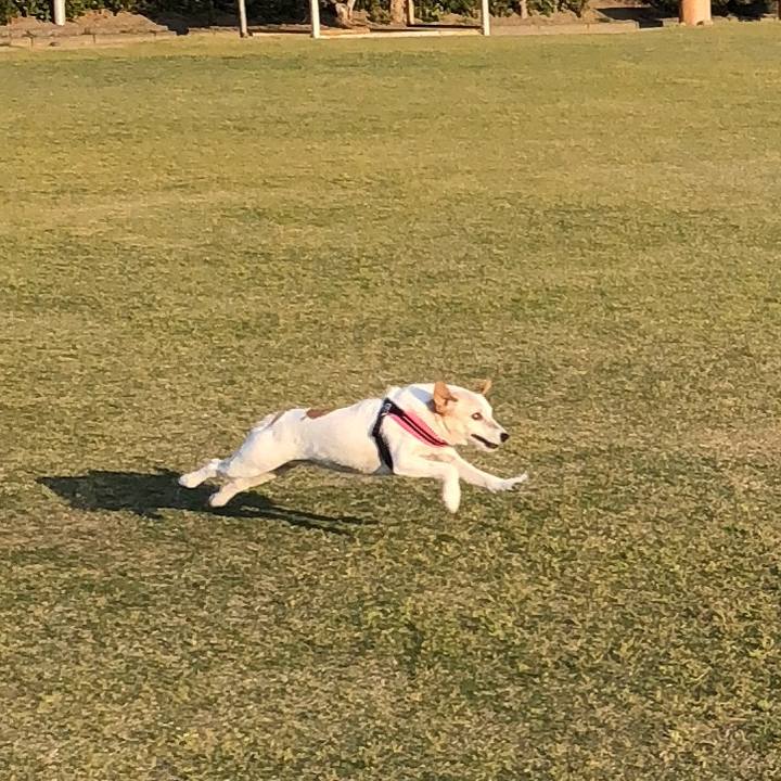 452f1b7e 8cad 4b77 afc3 baadd5cc5ddb 1523614237379