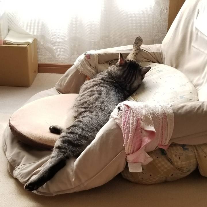 452f8c8f c826 48e3 9f51 835465301c38 1689762028248