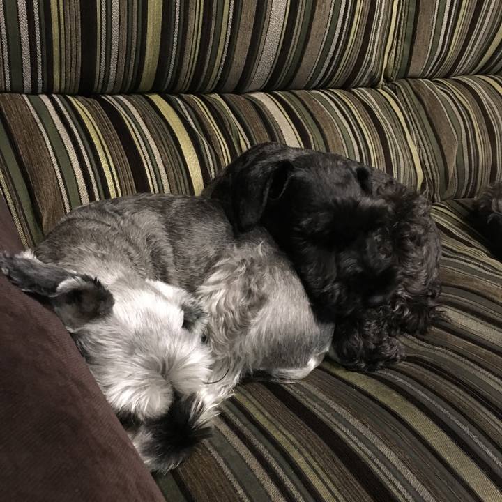 452fb1cf 291d 4039 99d3 63b5f8b6a7bc 1508059779121