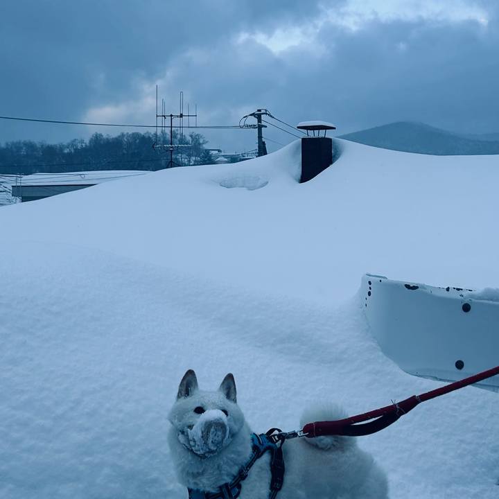 452fe14b 1d56 4d59 b8c2 eb37ed2a0b8b 1740262343113