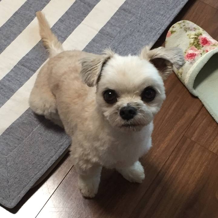 452ffcd8 b338 422a 8d2f f9759d540977 1562065741790