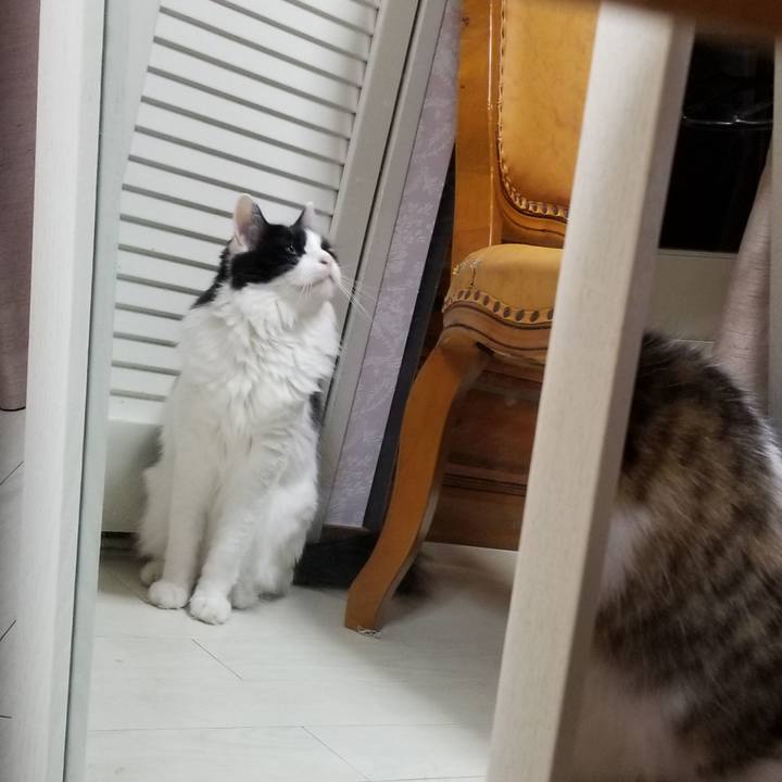 45300909 71a0 47ea 8d83 dc63f087e4d0 1592571646312