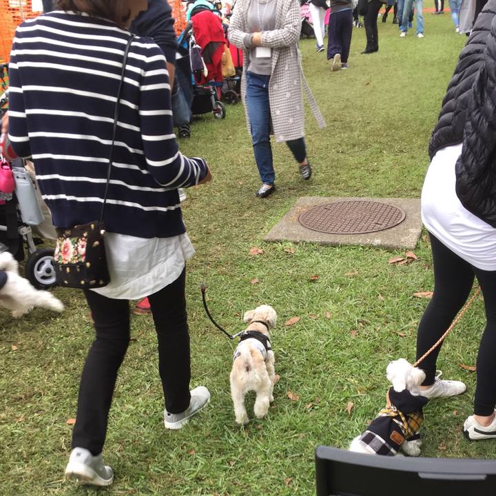 4530c1c8 01b4 4c43 ab1a 99ede92013af 1539556809787