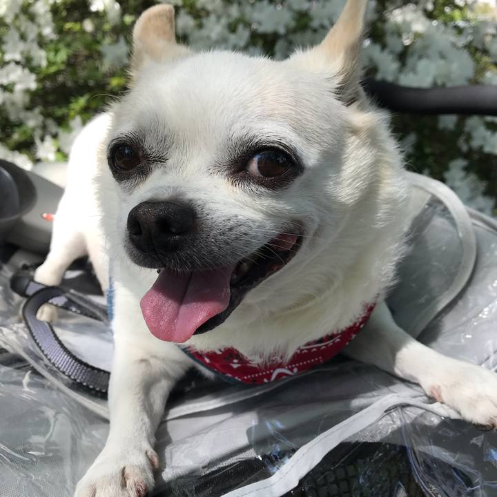 4530ce9f 5592 4db6 ae56 56d2a1458a3a 1591704498782