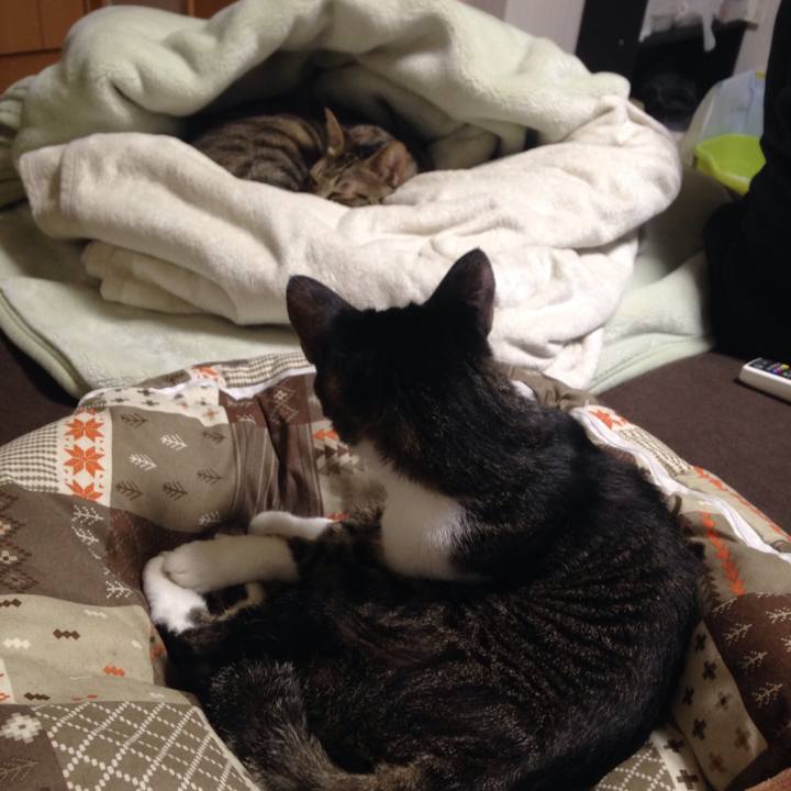 4530d2fa 8714 4e0f a79a 532887c5e2d6 1508163323373