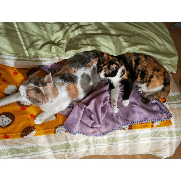 4530d7be 8ac8 47f1 9ba6 c2869d630169 1669782071240