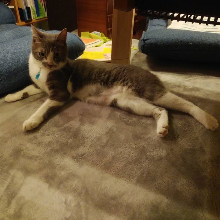 453122bd 6134 434a aa36 6b41ba005e2f 1592138108746