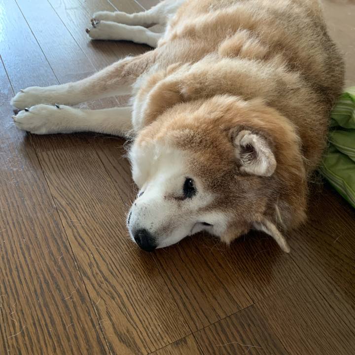 45312550 be05 400b a88e 893a1383bf6a 1633860225784