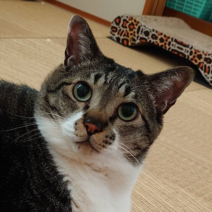 453137e6 ba75 4a0e b319 252a4504b5d7 1591586434894