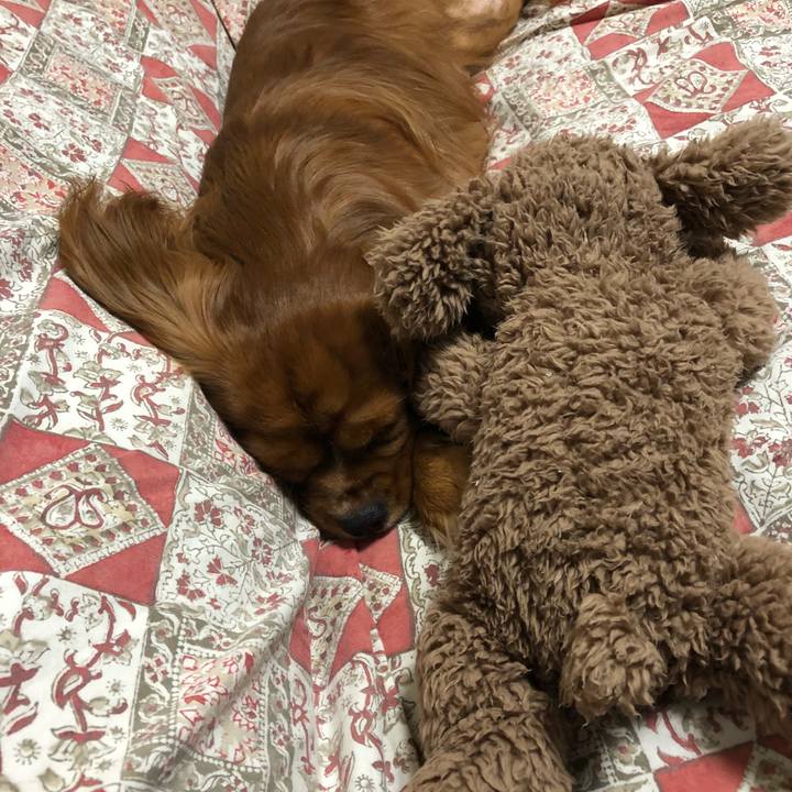 45314c5a e2a6 4d65 9f37 79f95d65245f 1532866368980