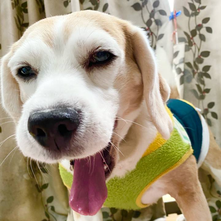 45316151 bc65 46dc 99c8 4d7ac9d938e5 1615521718909