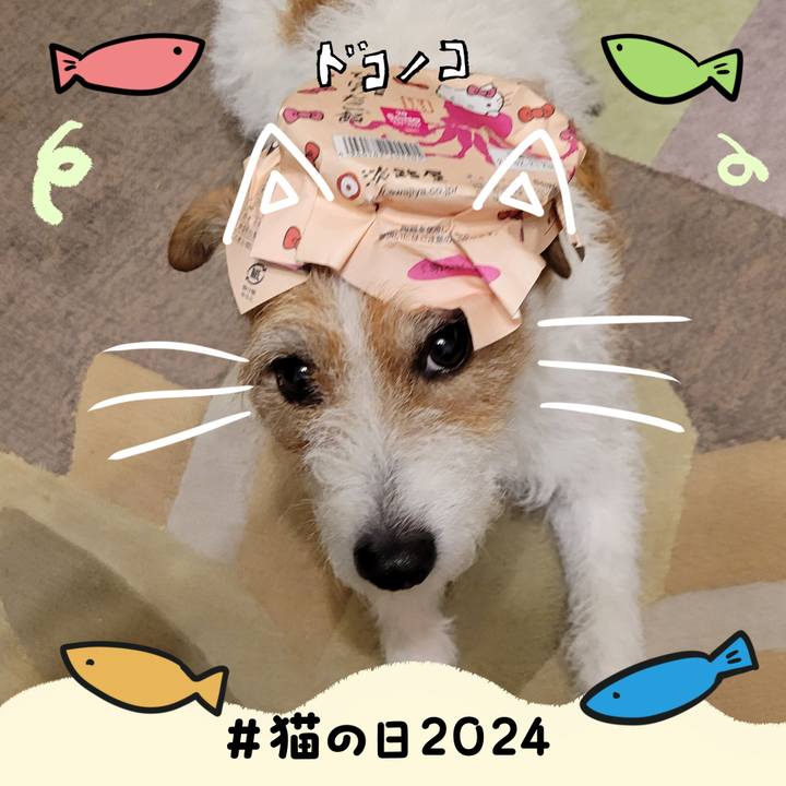 4531797f 08ee 4d5d b83b 3af13382bc86 1708566932154