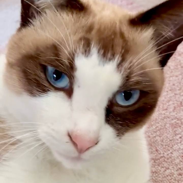 45318a53 1782 4bf5 b90b a58f866c2e77 1763181085306