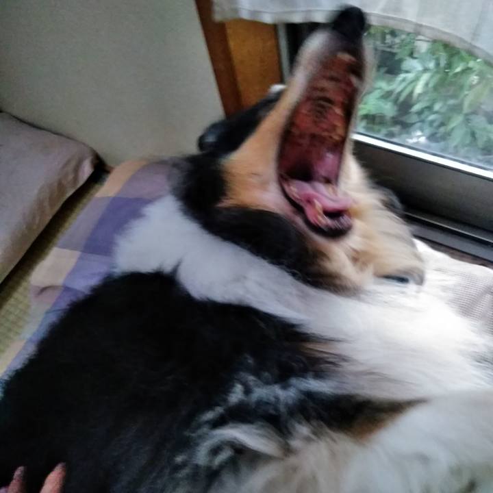 45319111 827c 4016 aa44 7e0c90c6d6f7 1537359592656