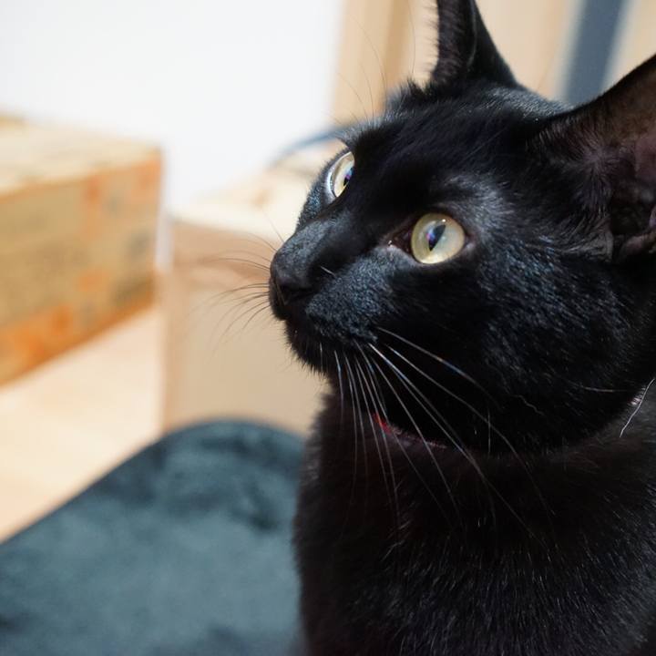 45319f9d 9d63 4429 ae27 8f9de7d2f449 1510010905413