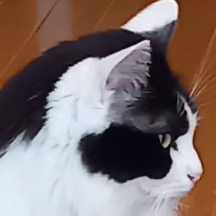 4531a9a6 dc26 4233 861d e102f3c782ea 1605356023164