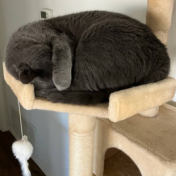 4531b98c c39b 4f81 9bec a029028fe8ce 1769476092714