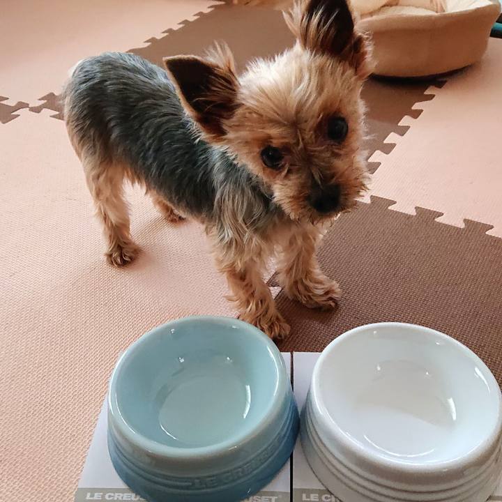 4531f496 cb61 47a3 92a8 70a792ca3fba 1561437587708