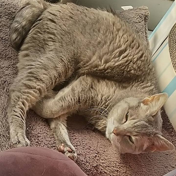 453227eb 2519 4638 bbb3 137768a0dd4d 1683154607379