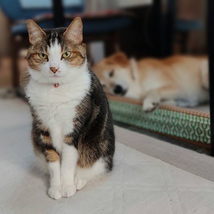 45323ee5 9151 431c ae61 2a2f16f9ee87 1652866086682