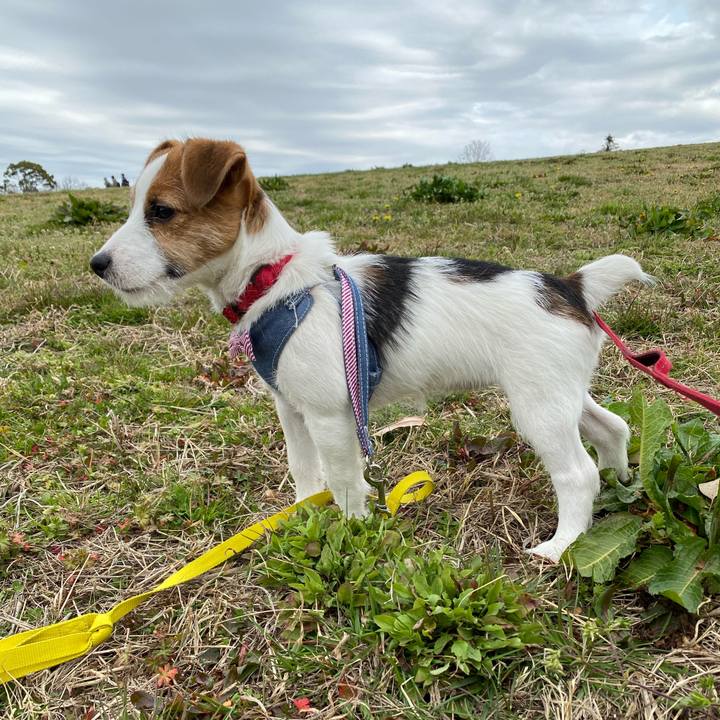 453261a3 79d9 4b3f 91c1 5e9d8630355e 1615097234608