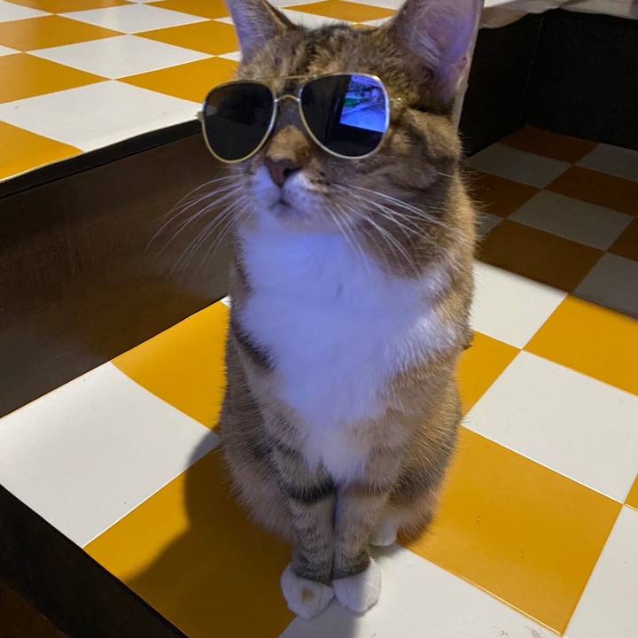 4532820c 0d41 4dca 9cf0 0797b568f029 1696513310558