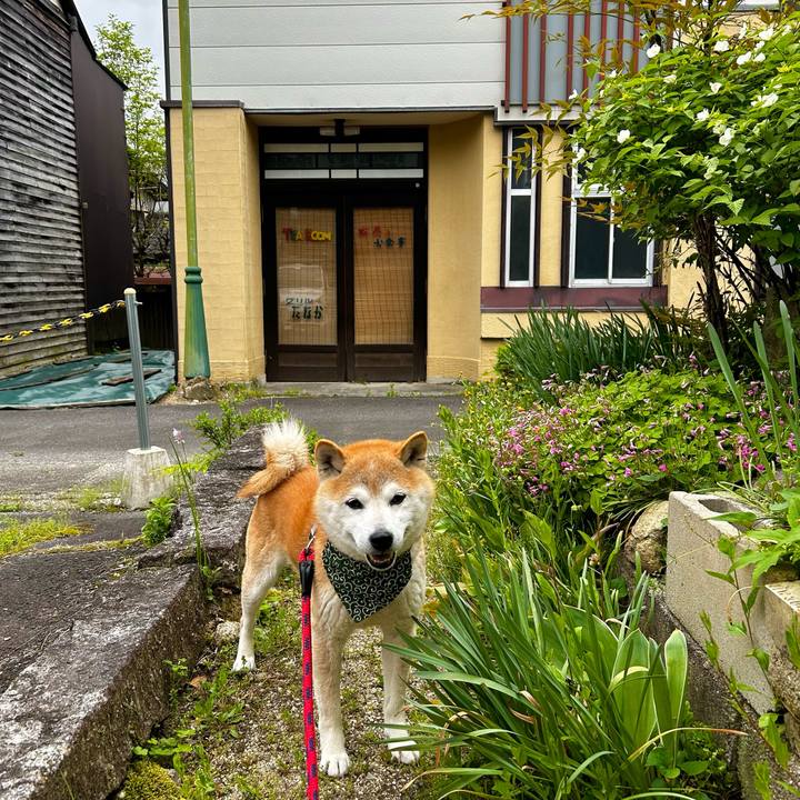 453285a1 5309 4f48 bb38 0b7f1956ebea 1714553535609