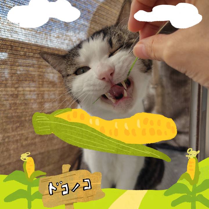45329493 4b78 4751 876c c62c34d95b64 1786852600018