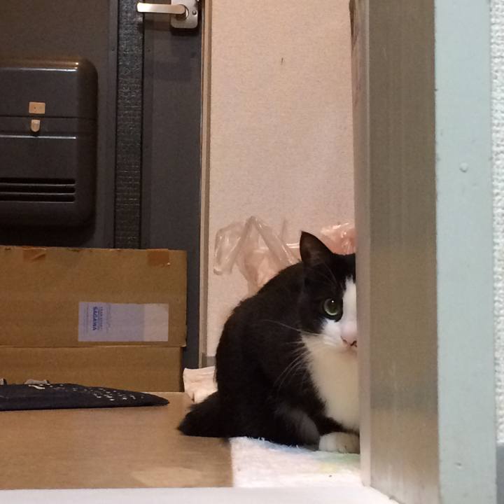 4532f60b 9aa5 48c7 81d7 ea15d53e0b53 1510045996791