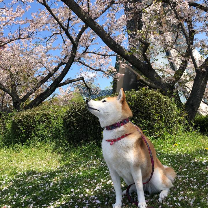 4532fc9c 1748 4565 8649 92d33dad11af 1712889812414