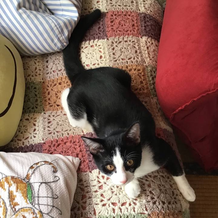 45330d62 b329 4eb2 aa68 01b835f1a405 1630987676933