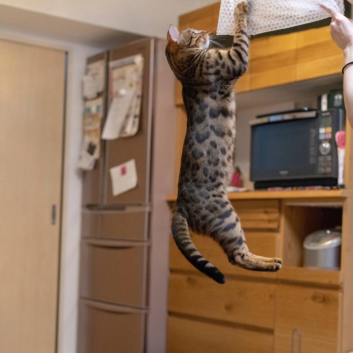 4533b44a 82eb 40fc aa6a 2126deb36b0e 1530889314113