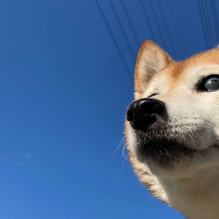 4533ccb8 fcbd 456b a3bb 899e9f2dc549 1709275649090