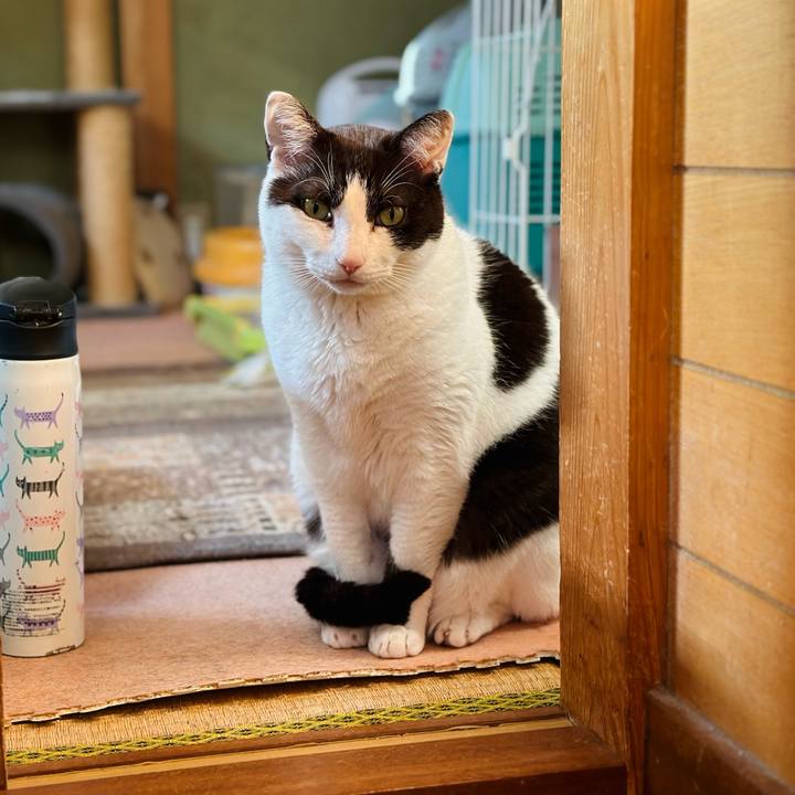 4533dfe1 e2fe 434d b075 54b05db7c07c 1681952689538