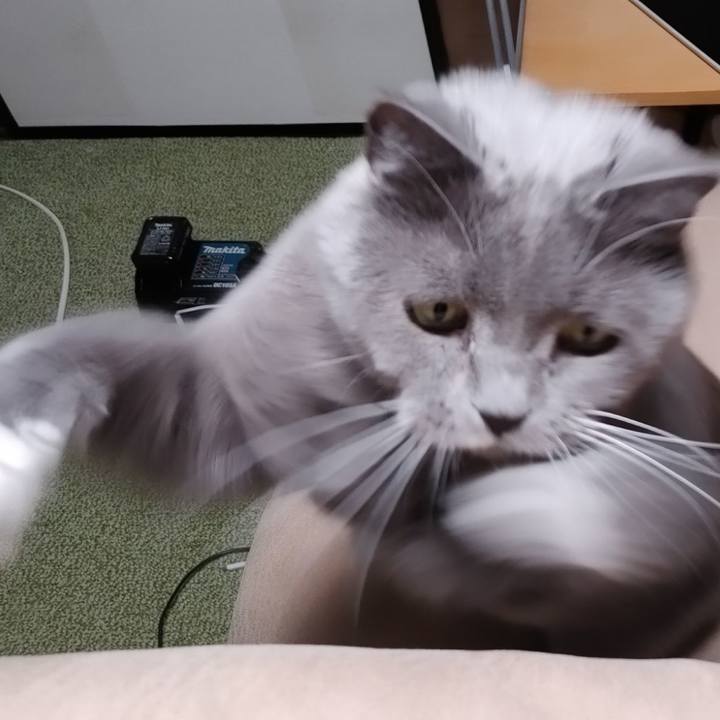 4535cbb1 c2cd 4095 9833 e8ff7176da8e 1704706893090