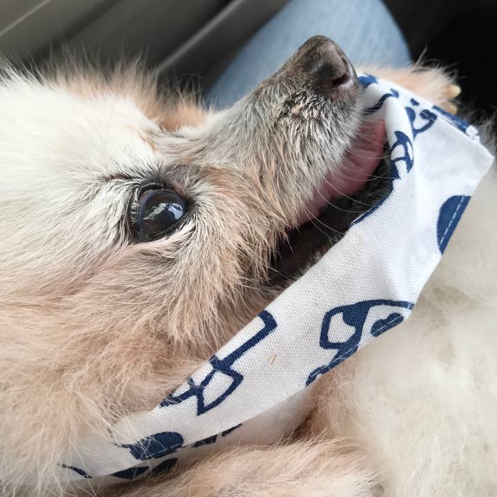 4535dde3 d934 4a9a 9690 2e2e65763127 1540936201315