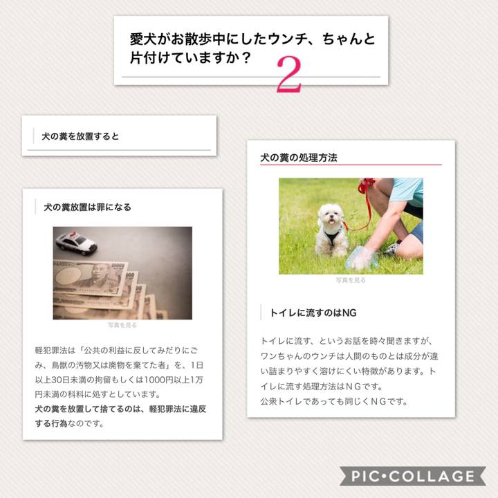 4535f6c7 29af 416f afd5 b69af069a5b0 1531115151277