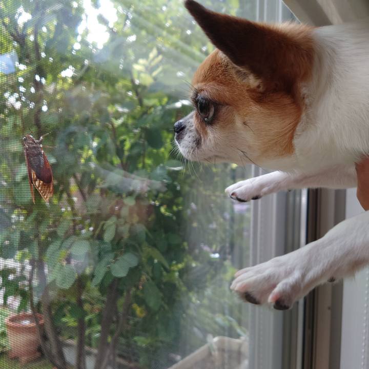 45365a25 ecae 4ecb 90d9 4c7948428e16 1692352361542