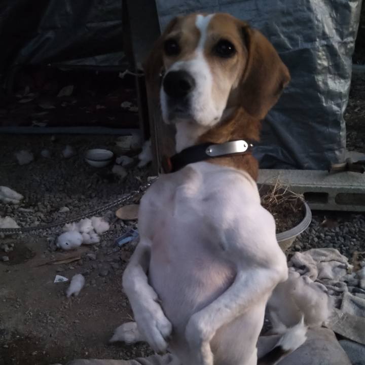 453666ad d96b 497a 87a6 1fb93ca1621d 1638540128685