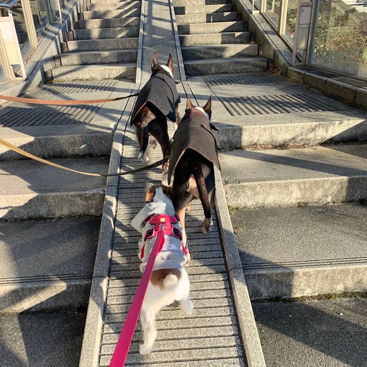 45368ed8 d7c7 404a 8c1c bc92e44260c8 1577520639925