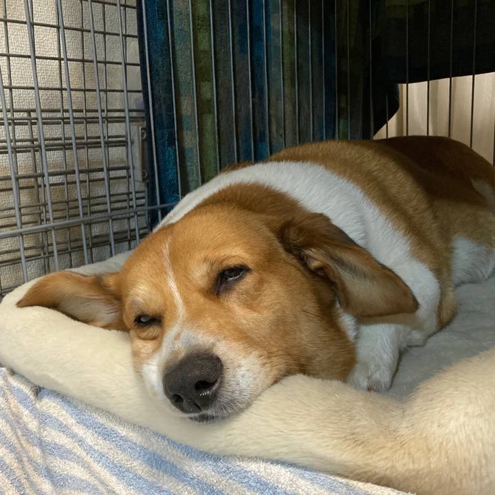 4536956e 9b56 443d 9975 f375cd76c5e2 1761561470331