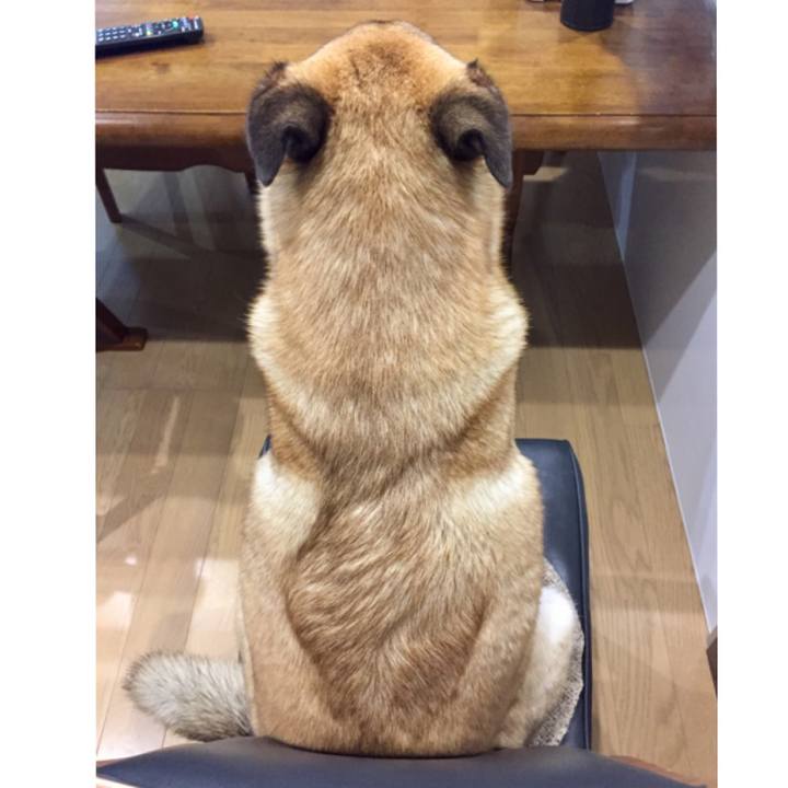 4536bfe6 efc3 423f ba65 1eaab7aa83b9 1529470258936